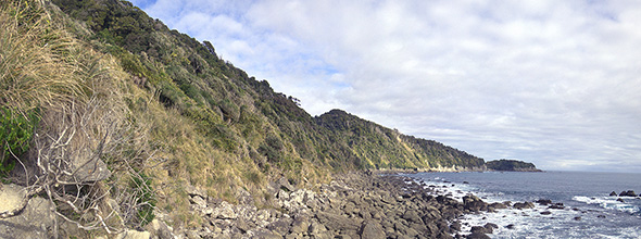 Jackson-West-pano