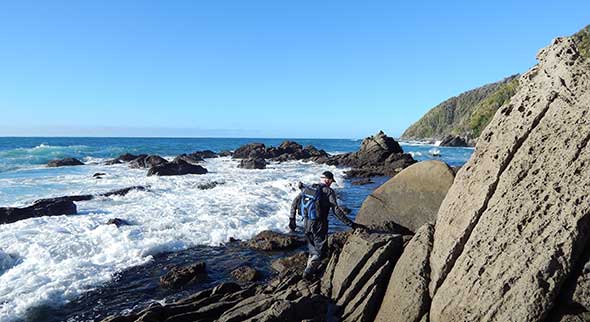 Hotte making its way across the rocks towards our logger lookout