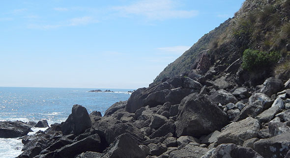 Spot the hide tent - it works on the penguins too