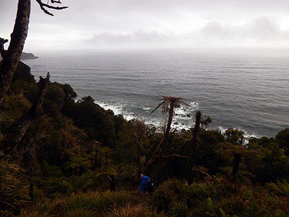 Last descent from Hilltop before heading back to Dunedin