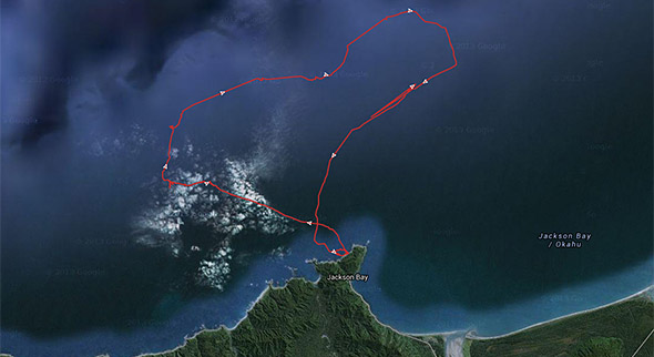 The first ever recorded tawaki foraging track