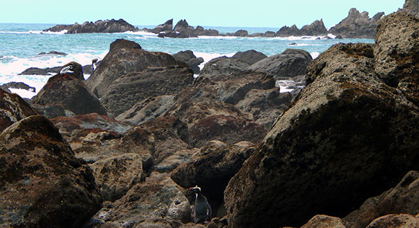 Last time around: approaching "The Base" at Jackson Head