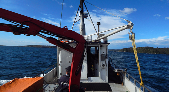 Going into smoother waters of Paterson Inlet