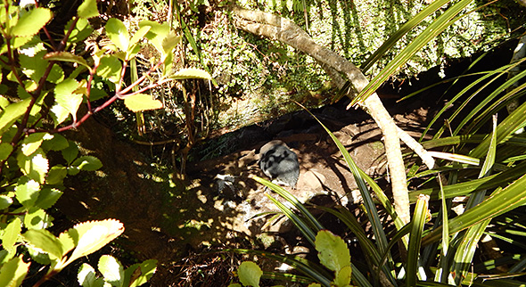 ...in a nice and cosy sun spot...