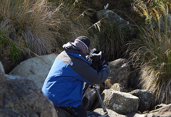 Haruki-san with his lens on a slightly confused fledgling