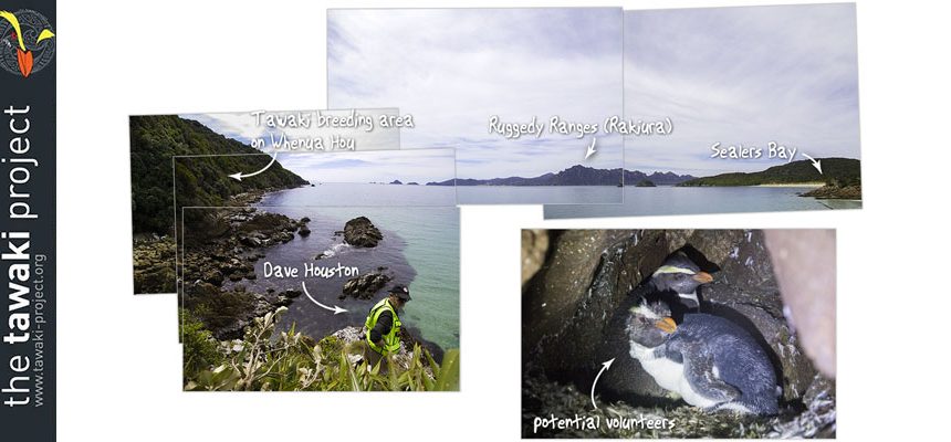 Going back to Whenua Hou soon