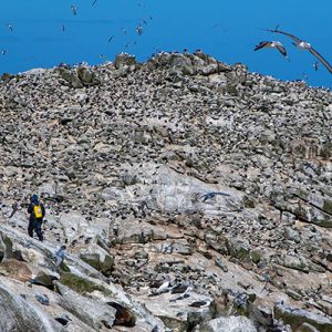 Day 4 – On Proclamation Island