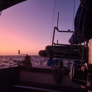 Day 5 – North of Bounty Islands