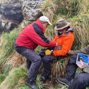 Day 14 – Starlink drops, counts and loggers