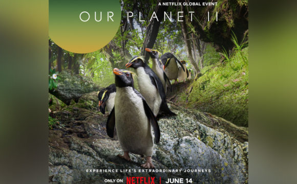 Tawaki on Netflix