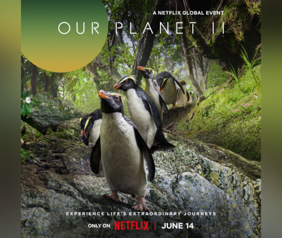Tawaki on Netflix