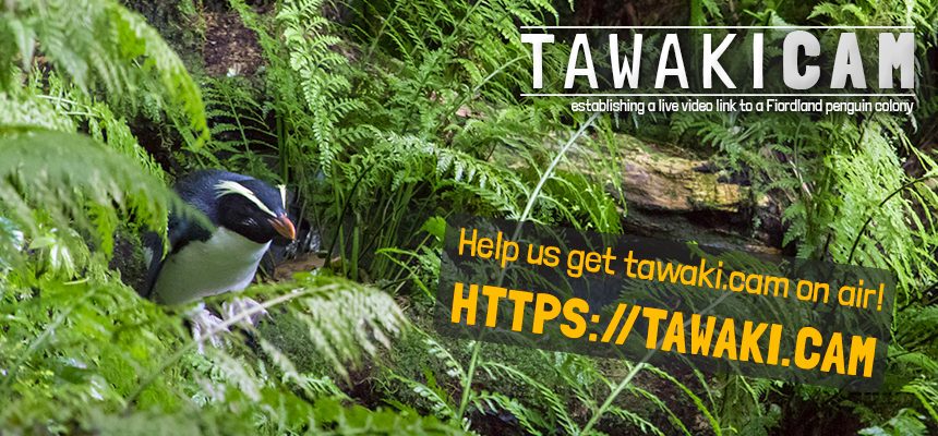 Fundraising campaign for TawakiCam launched