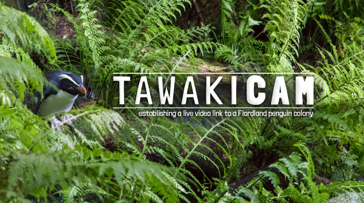 Crowdfunding TAWAKI.CAM