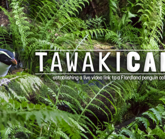 Crowdfunding TAWAKI.CAM