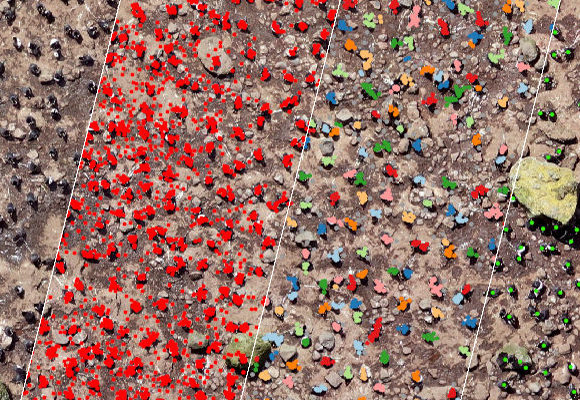 Penguins From Above
