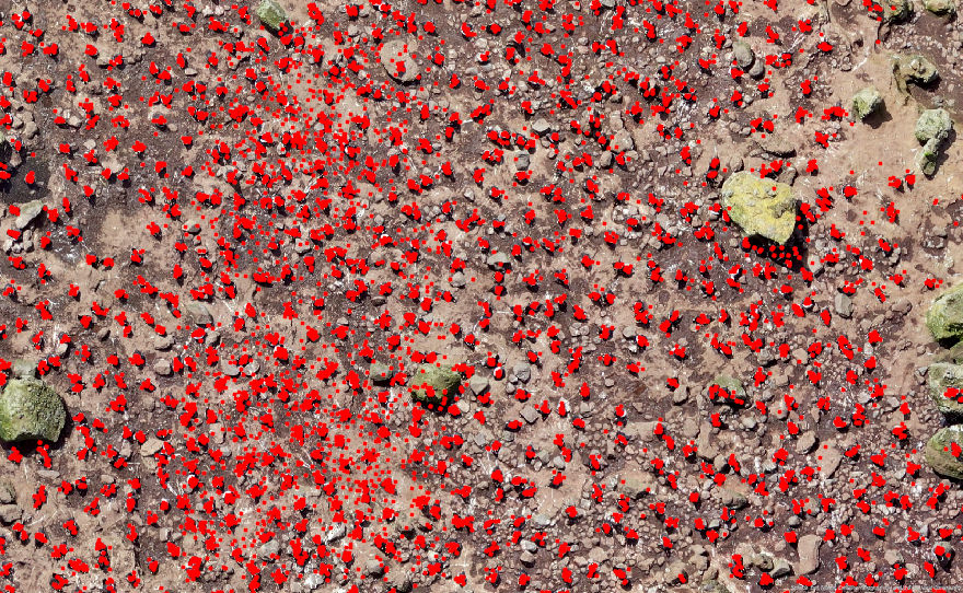 The annotations made by the Zooniverse beta testers.