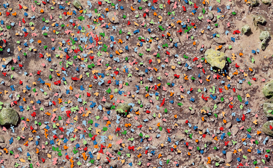 Point clusters indicating penguins in the image.