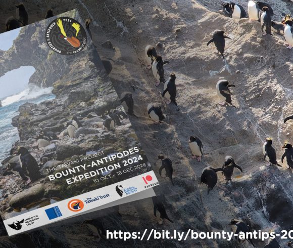 2024 Expedition report is out!
