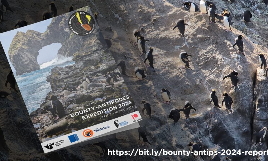 2024 Expedition report is out!