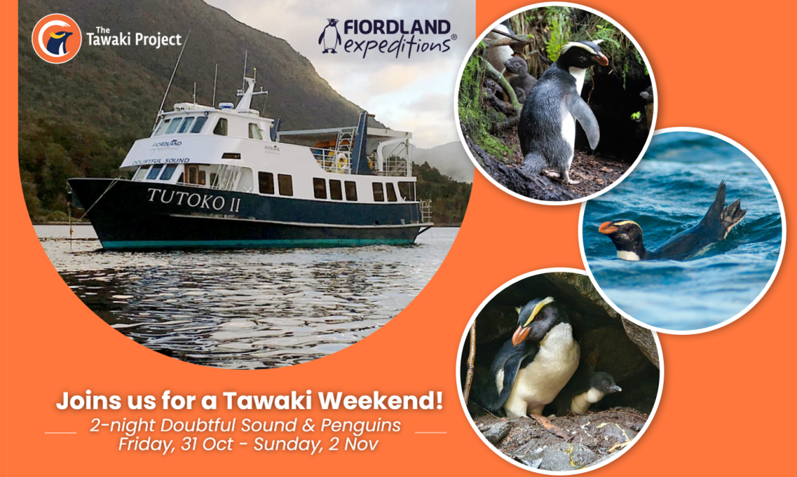 Join us for a tawaki weekend!