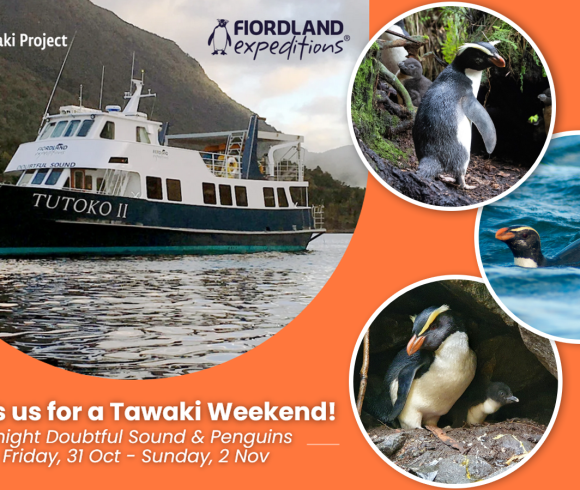 Join us for a tawaki weekend!