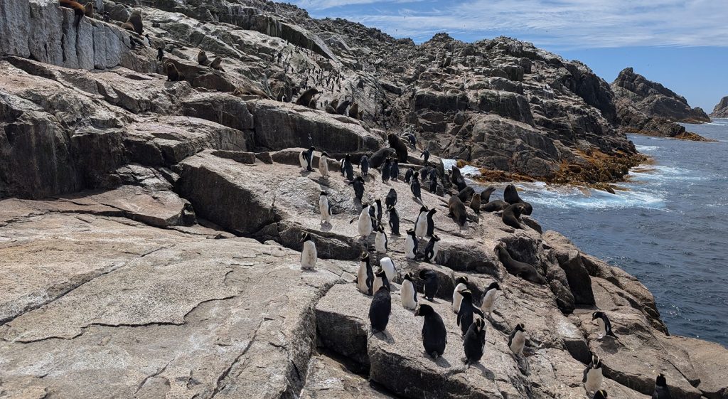 The Depot Island landing site