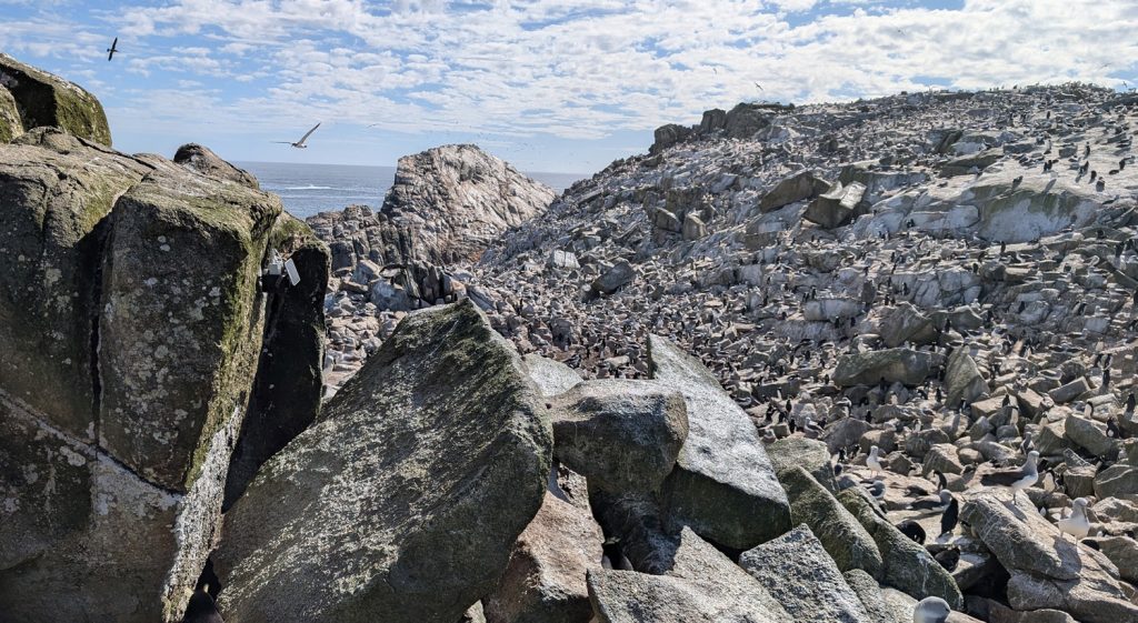 The data download station mounted to a rock on Depot Island
