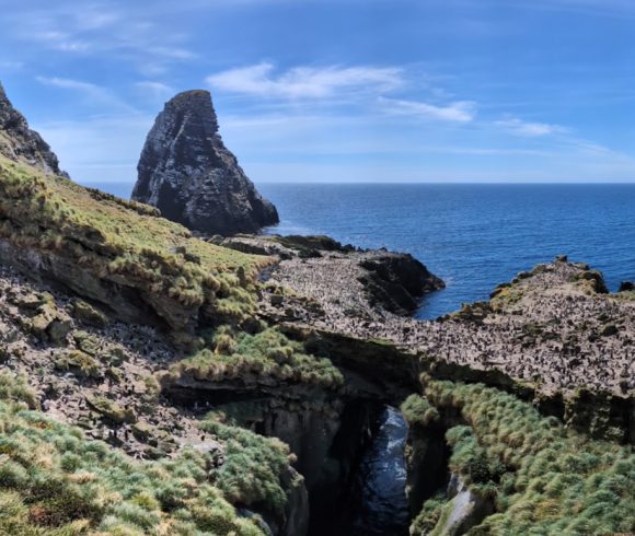 Christmas on Antipodes