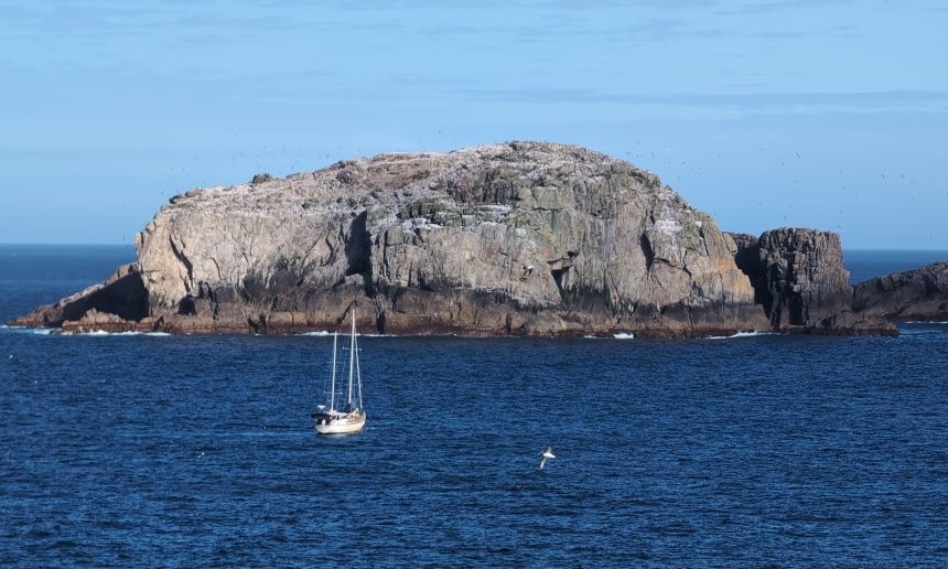 Southward to the Subantarctic Southward to the Subantarctic